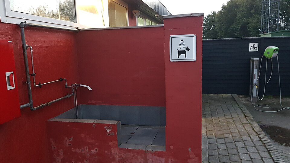 A dog wash station