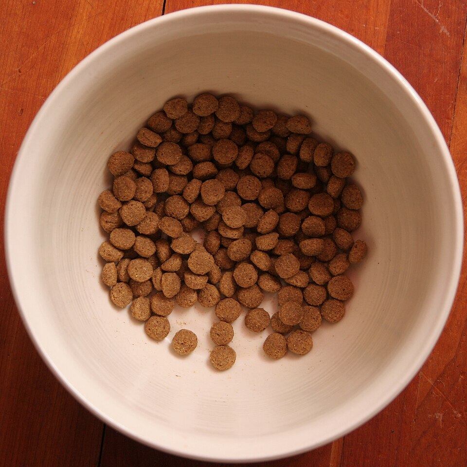 A bowl of dog kibble